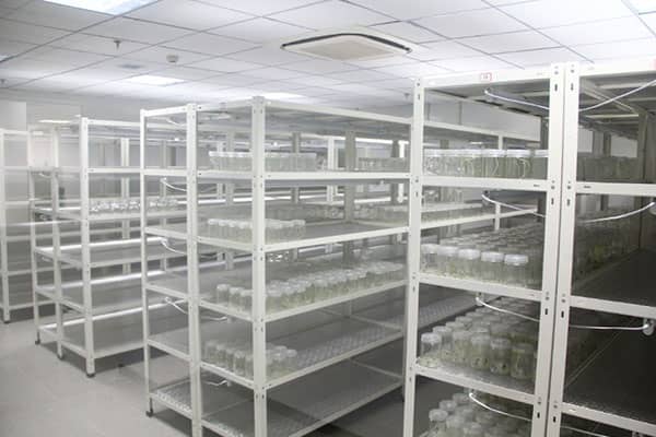 深夜网站在线观看架