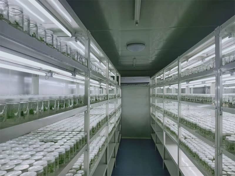 深夜网站在线观看設備廠家深夜福利电影講解植物深夜网站在线观看知識